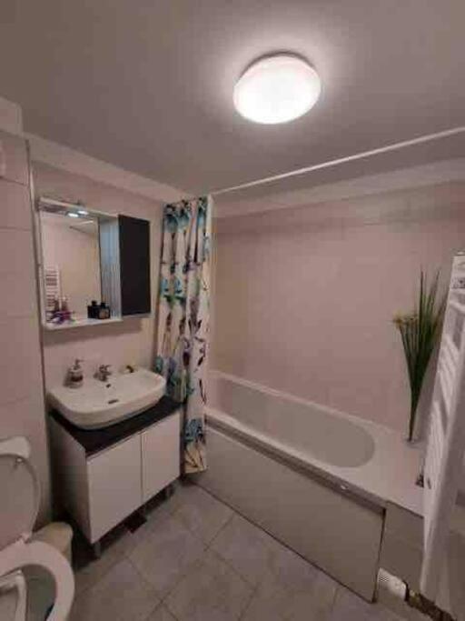 Chic Studio Pallady Daire Bükreş Dış mekan fotoğraf